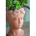 AIDUCHO D6x9" Visage Head Bust Planter, Brown