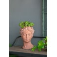 AIDUCHO D7x11" Visage Head Bust Planter, Brown