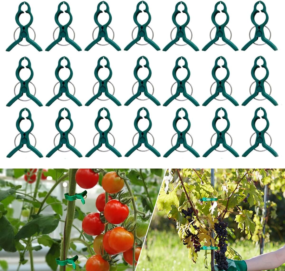 Support Clip AIIONP 240 PCS Support Clips Reusable Garden Clips, Secured Plastic ...