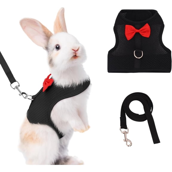 AIITLE Bunny Harness and Leash Set with Cute Bow, Soft Breathable Mesh Vest Harness for Rabbits Kitten Ferret Small Pig Puppy Walking Supplies Black M