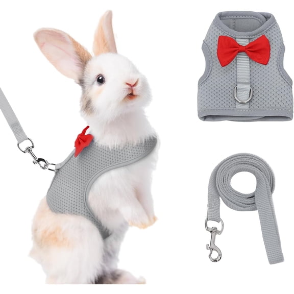 AIITLE Bunny Harness and Leash Set with Cute Bow, Soft Breathable Mesh Vest Harness for Rabbits Kitten Ferret Small Pig Puppy Walking Supplies Grey M
