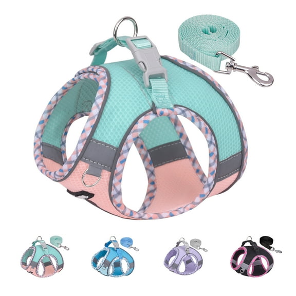 AIITLE Dog Harness Escape Proof, No Pull Dog Vest with a Leash, Breathable Mesh, Reflective Stripes, Adjustable Pet Outdoor Harnesses Puppy Essentials for Small and Medium Dogs Turquoise-Pink M