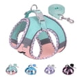 thumbnail image 1 of AIITLE Adjustable Reflective Breathable Dog Harness Vest, No Pull, Escape Proof, with Leash, Small/Medium Dogs, Turquoise-Pink, M, 1 of 8
