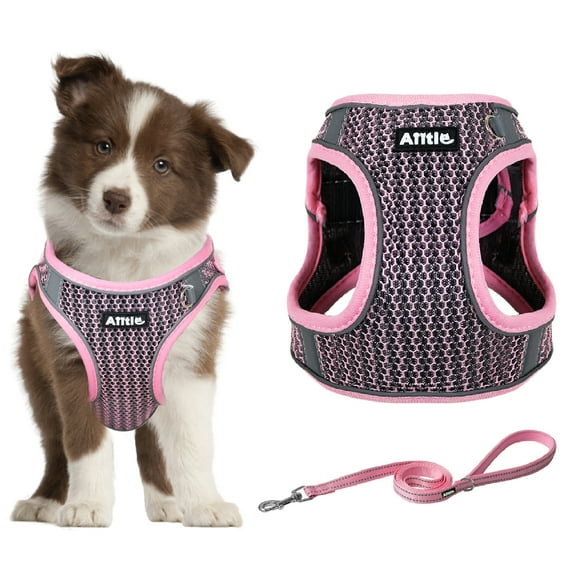 AIITLE Dog Harness with Leash Set - All Weather Breathable Mesh, Reflective Stripes, Adjustable Escape Proof Pet Outdoor Harnesses for Medium Dogs Pink M