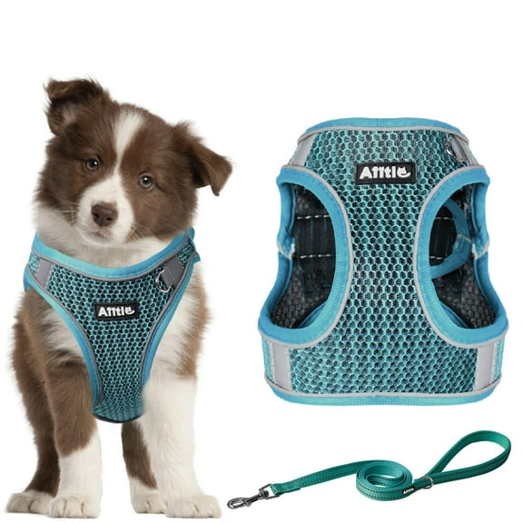 AIITLE Dog Harness with Leash Set - All Weather Breathable Mesh, Reflective Stripes, Adjustable Escape Proof Pet Outdoor Harnesses for Medium Dogs Turquoise M