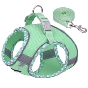 AIITLE Adjustable Reflective Medium Dog Harness with Breathable Step-in Design for Walking, Sage