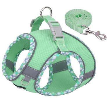 AIITLE Durable Dog Harness and Leash Set for Walking, Step in Vest Harness with Reflective Bands for Small Dogs and House Cats Sage XS