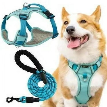 AIITLE Durable Dog Vest Harness and Leash Set, No Pull Pet Harness with Safety Memory Buckle, Adjustable Breathable Dog Harness, Reflective Outdoor Pet Vest for Extra Small Dogs Blue XXS
