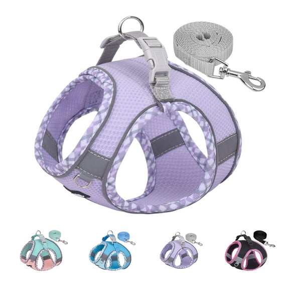 AIITLE Durable No Pull Dog Harness and Leash Set for Walking, Step in Puppy Harness, Soft Breathable Pet Supplies, Reflective Bands, for Extra Small Dogs and House Cats Purple XXXS