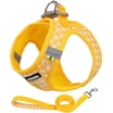 AIITLE Step-In Reflective Escape-Proof Pet Harness & Leash Set ...