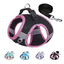 AIITLE Extra Small Dog Harness, No Pull Cat Harness with a Leash, Quick-Release Buckle, Reflective Outdoor Pet Vest for Extra Small Dogs and House Cats Black XXS