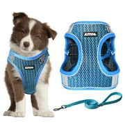 AIITLE Extra Small Dog Harness - Step in Vest Harness with A Leash, Reflective Bands, Soft Breathable Pet Supplies, Outdoor Pet Vest for Extra Small Dogs and House Cats Royal Blue XXXS