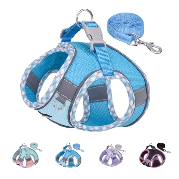 AIITLE Reflective Adjustable No Pull Cat Harness with Leash, Quick-Release Buckle, Breathable Pet Vest, Blue, XXS