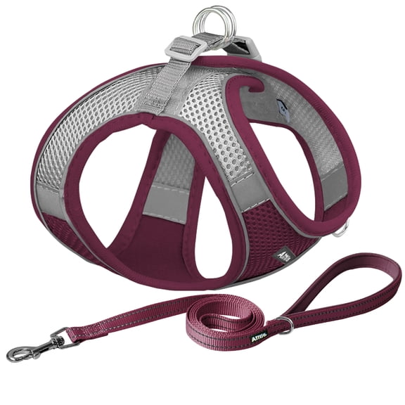 AIITLE No Pull Dog Harness and Leash Set, Christmas Step in Adjustable Dog Harness with Padded Vest Easy to Put On Burgundy XS
