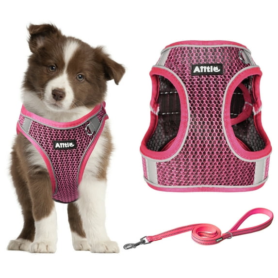 AIITLE No Pull Harness for Small Dogs - Step in Puppy Harness with Super Breathable Mesh, Reflective Adjustable Pet Harness for Outdoor Walking, Training for Small Dogs, Cats Hot Pink XS