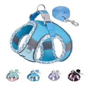AIITLE No Pull Dog Harness and Leash Set, Step in Adjustable Dog Harness with Padded Vest for All Weather, Reflective Adjustable Pet Harness, Easy to Put on Small Dogs Blue S