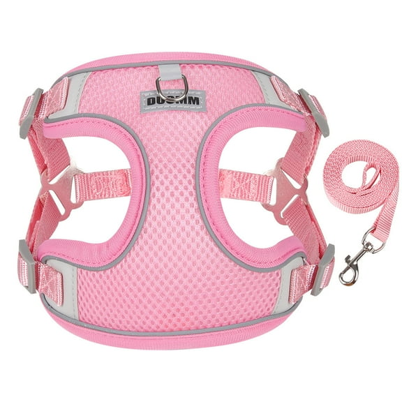 AIITLE No Pull Dog Harness and Leash Set, Step in Adjustable Dog Harness with Padded Vest for All Weather, Reflective Adjustable Pet Harness, Easy to Put on Small Dogs Blue