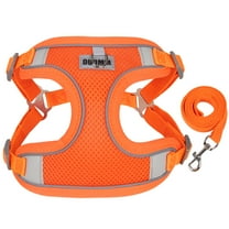 AIITLE No Pull Dog Harness and Leash Set, Step in Adjustable Dog Harness with Padded Vest for All Weather, Reflective Adjustable Pet Harness, Easy to Put on Small Dogs Blue