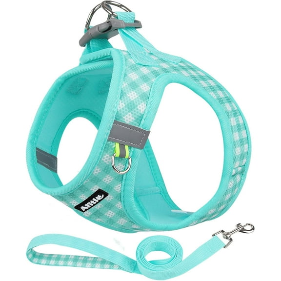 AIITLE No Pull Dog Harness and Leash Set, Step in No Chock Soft Mesh Dog Harnesses Reflective for Extra-Small Puppy Dogs and Cats, Plaid Dog Vest Harness for Pets Turquoise XXS