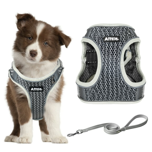 AIITLE No Pull Harness for Small Dogs - Step in Puppy Harness with Super Breathable Mesh, Reflective Adjustable Pet Harness for Outdoor Walking, Training for Small Dogs, Cats Beige XS