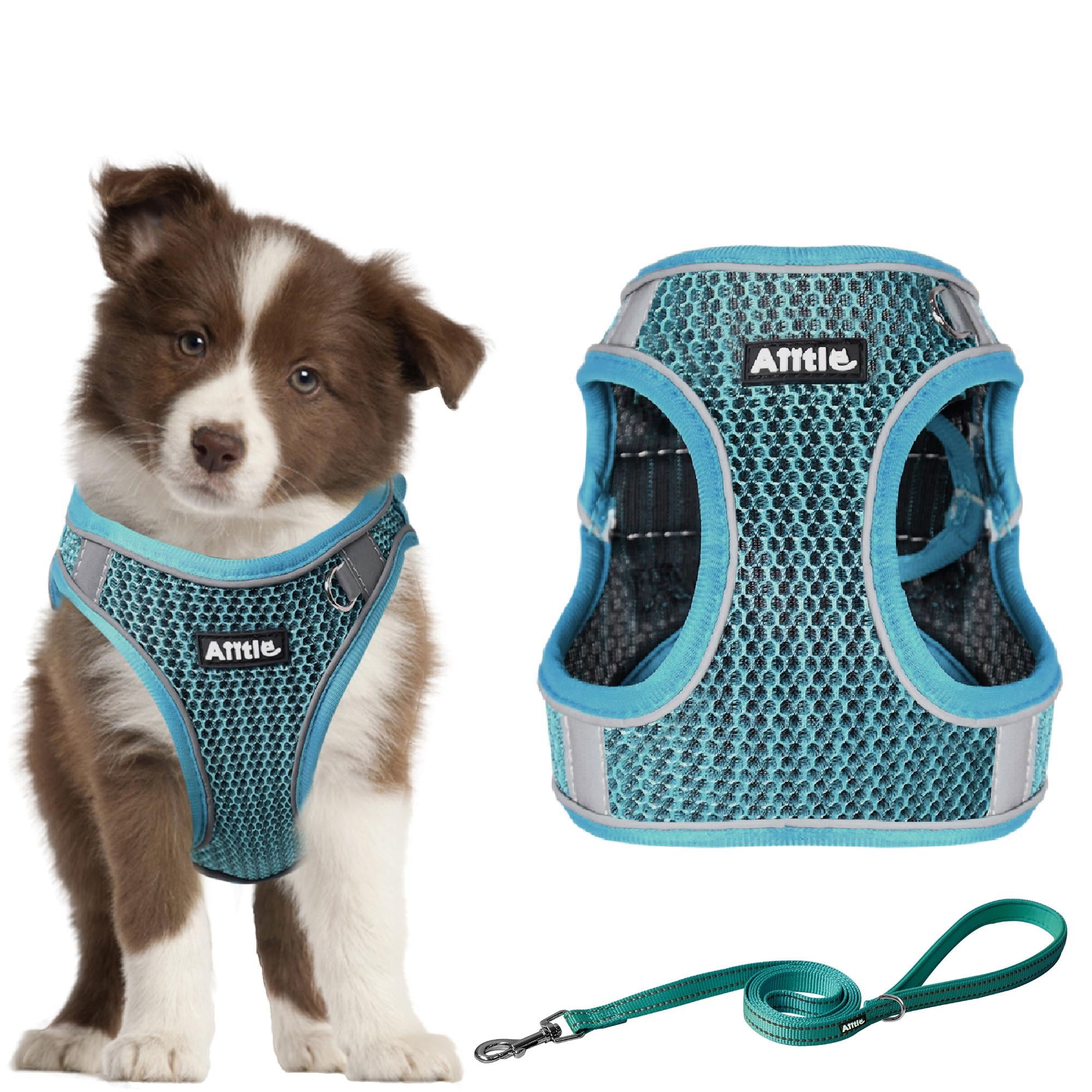 Embark Pets Country Hundehalsband Aus Baumwollseil Mit Leder-Einfassung – Robust & Stilvoll Für Große Hunde (bis 63,5 Cm)
