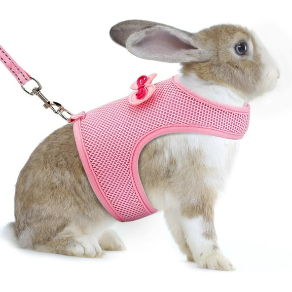 AIITLE Rabbit Harness and Leash Set with Cute Bow, Bunny Leash Vest Mesh Eescape Proof Walking Training for Small Animal Pets Kitten Puppy Squirrel Ferret Pig Bunny Pink S