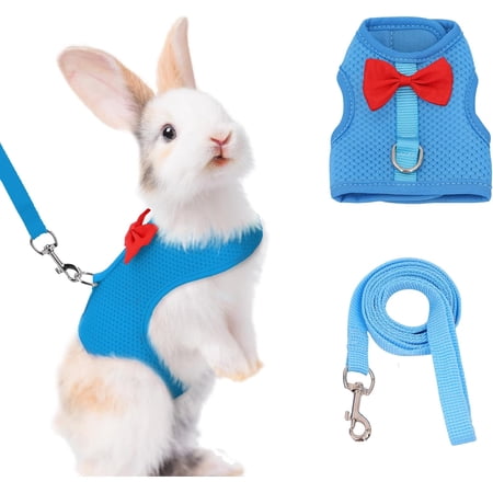 AIITLE Rabbit Harness and Leash Set with Cute Bow, Soft Breathable Mesh Vest Harness for Rabbits Kitten Ferret Puppy Small Pets Walking Supplies Blue L