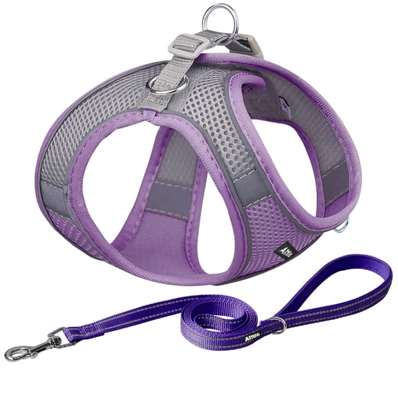 AIITLE Step in Dog Harness and Leash Set - Breathable Mesh, Reflective No-Pull Pet Harness for Outdoor Walking, Training for Extra Small Dogs, Cats Purple XXXS
