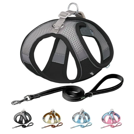 AIITLE Padded Reflective Breathable Adjustable Step-in Dog Vest Harness and Leash Set for Xsmall Dogs, Cats - Black