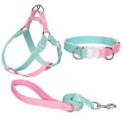 AIITLE Upgraded Easy Walk Dog Halter Harness - No Pull Dog Harness Collar Leash Set with Padded Handle - No Choke Escape Proof Cute Pet Harness for Small Dogs Green-Pink S