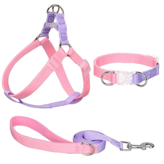 AIITLE Upgraded No Pull Dog Harness Collar Leash Set - Adjustable Lightweight Step in Dog Halter Harness - Easy Control for Walking - Comfortable Padded Handle - Walking for Large Dogs Pink-Purple L