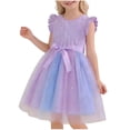 thumbnail image 1 of AINIYS Girls Ombre Skater Dress With Crew Neck And Front Button Closure Lightweight Chiffon For Spring Outing And Birthday Party Purple 4-5Years, 1 of 7