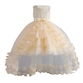 thumbnail image 1 of AINIYS Girls Sleeveless Lace Trimmed Tulle Dress With Hidden Back Zipper Ruffled Skirt For Wedding Flower Girl And Formal Occasion Beige 2 Years, 1 of 4