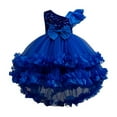 thumbnail image 1 of AINIYS Girls Sleeveless Multi-Layered Tulle Dress With Hidden Back Zipper Ruffled Skirt For Princess Party And Pageant Blue 100, 1 of 3