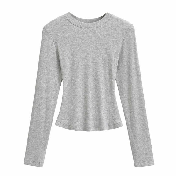 AINIYS Women's Crew Neck Textured Long-Sleeve Crop Tops Stylish Fitted Layering Casual Daily Wear Blouse Silver M