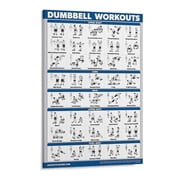 AIOE Dumbbell Workouts Full Body Exercise Poster, Home Gym Fitness Chart, Strength Training Guide for Upper/Lower Body, Core & Back, Workout Routine Wall Art Unframe 12x18in
