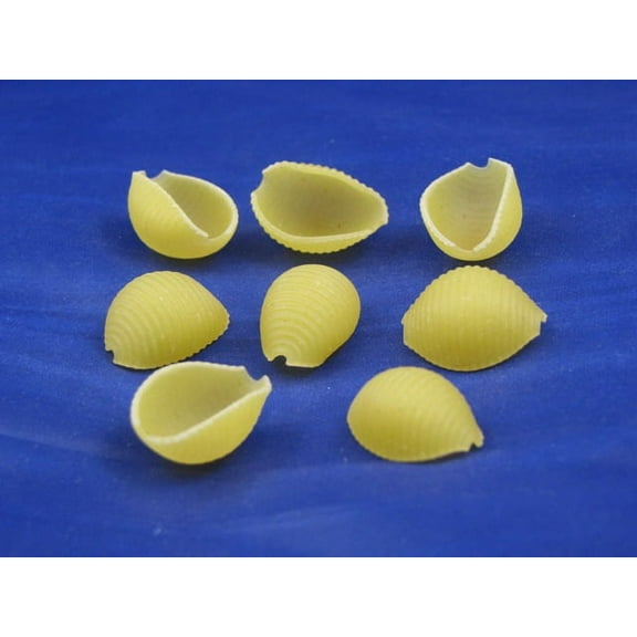 AIPC Ravarino and Freschi Medium Shell Pasta, 10 Pound -- 2 per case.