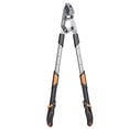thumbnail image 1 of AIRAJ Extendable Tree Trimmer Anvil Loppers - Heavy Duty Branch Cutter with 2 Inch Cutting Capacity, 27-37” Telescopic Pruning Shears, Compound Action Garden Tool for Thick Branches & Dead Wood, 1 of 7