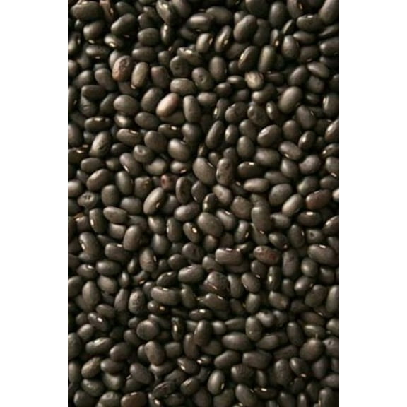 Black Bean