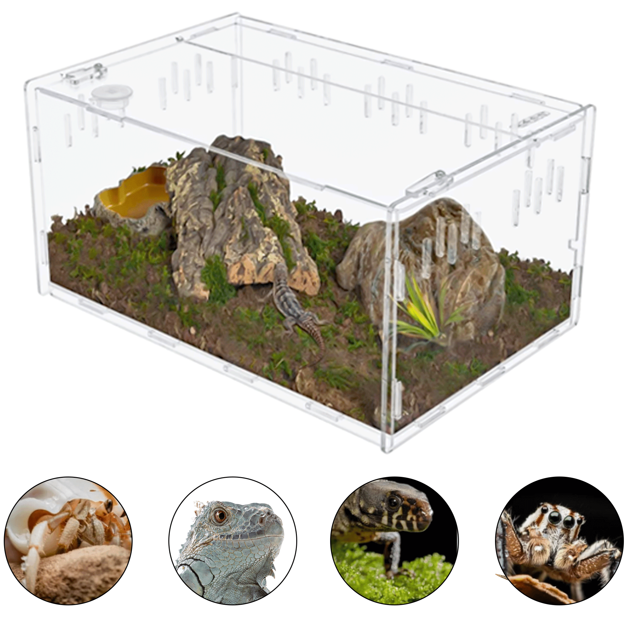 AIWFL Acrylic Reptile Terrarium 15 10 Climbing Pet Display Case Reptile Breeding Box for Insect Snake Lizard Spider Frog Clear