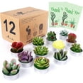 thumbnail image 1 of AIXIANG 12Pcs Cactus Candles Succulent Candles, Wedding Party Favors for Guests, Bridal Shower Candles Favors, 1 of 6