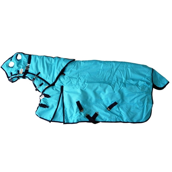 AJ Tack 1200D Waterproof Turnout Horse Blanket with Hood - Turquoise 74" Medium