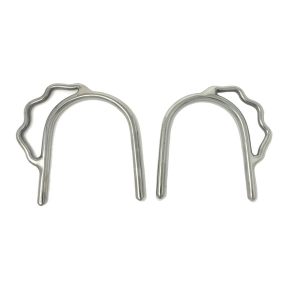 AJ Tack Ladies Stainless Steel Slip On Bumper Spurs
