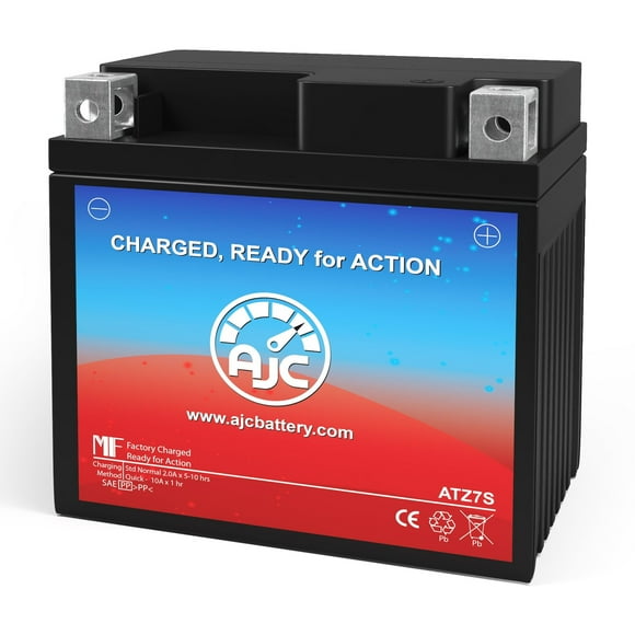 AJC Replacement Battery For EverStart ES20LBS - AGM Powersports Battery, 270 CCA
