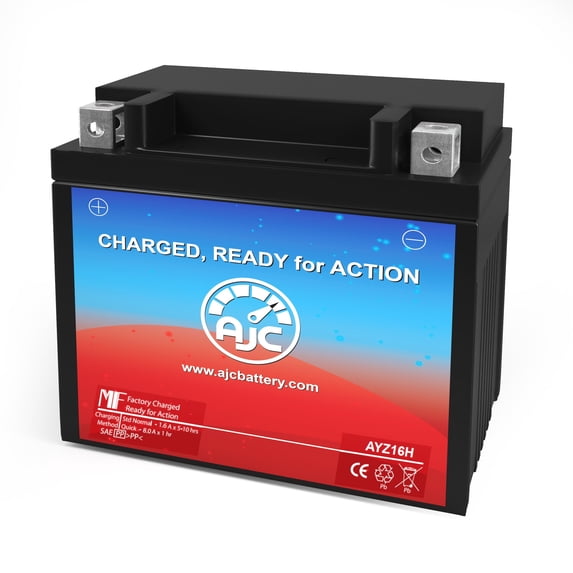 AJC Pro Battery Compatible with Yuasa YTX14-BS Powersports Replacement Battery