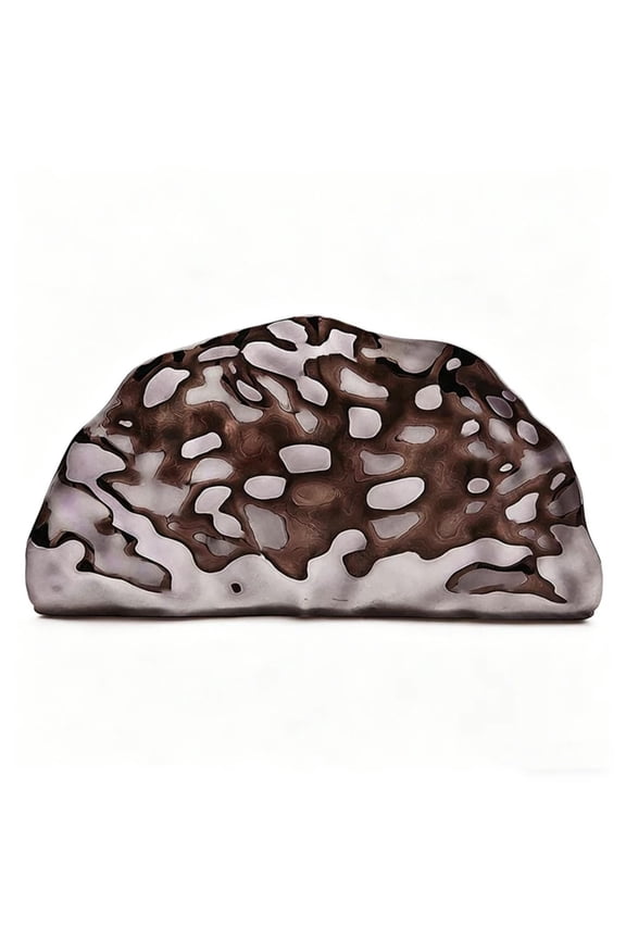 Acrylic Clutch Purse for Women Gold Evening Bag Shell Box Purse Clutch with Chain for Party, Prom Bag BK3 One Size