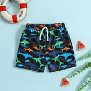 AJIWYH Toddler Baby Boys Swim Shorts Summer Beach Casual Swim Trunks Cartoon Cute Adjustable Waist Bathing Suit (Black,6-12 Months)