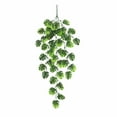 thumbnail image 1 of Chamoist Hanging Artificial Ferns for Outdoors,Ruscus Greenery Stems,3pc Artificial Green Leaf Garland Vines Hanging Spray for Diy Wedding Arch Bouquet Filler Table Centerpieces Home Decor, 1 of 9
