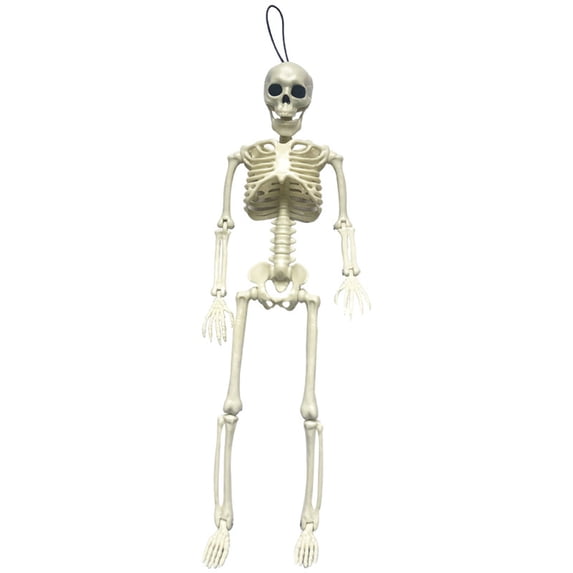 Chamoist Posable Halloween Skeleton, Full Body Skeleton Decoration Movable Posable Joints Skeletons, Scary Plastic Skeleton Halloween Skull Decor for Yard Garden Lawn Haunted House Graveyard Props