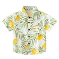 thumbnail image 1 of AJTQTH Hawaiian Shirts for Toddler Boys Kids Summer Beach Cartoon Print Short Sleeve Tshirts Button Down Blouses Tees Tops with Pockets Yellow#04 12 Months, 1 of 3